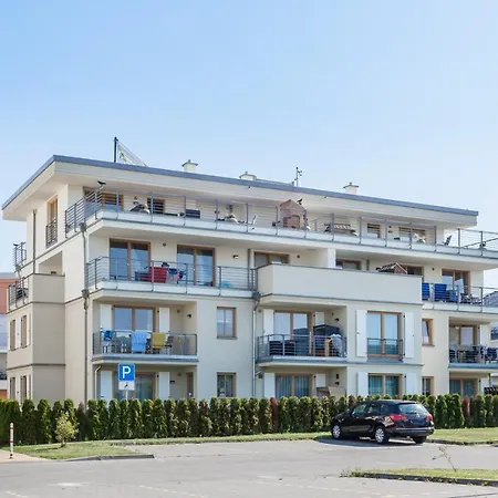 Sanddorn 03 Börgerende-Rethwisch